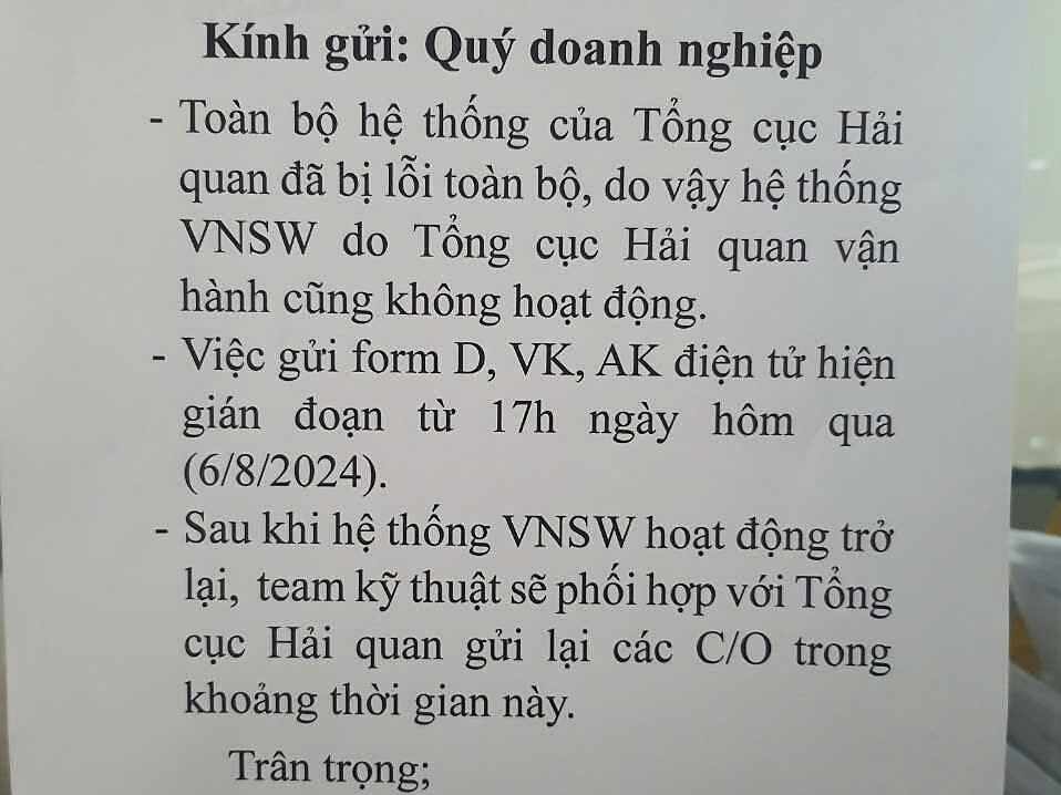 Hệ thống hải quan điện tử gián đoạn 16 giờ